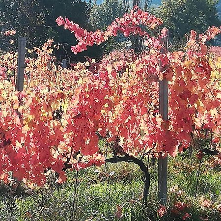 Antico Gioiello Umbro , Appartamento Con Terrazza Foligno Exterior foto